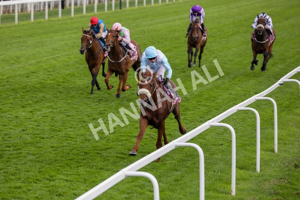 170524-Race 4-Giavellotto-2206 - Race 4 3.45pm Boodles Yorkshire Cup Stakes