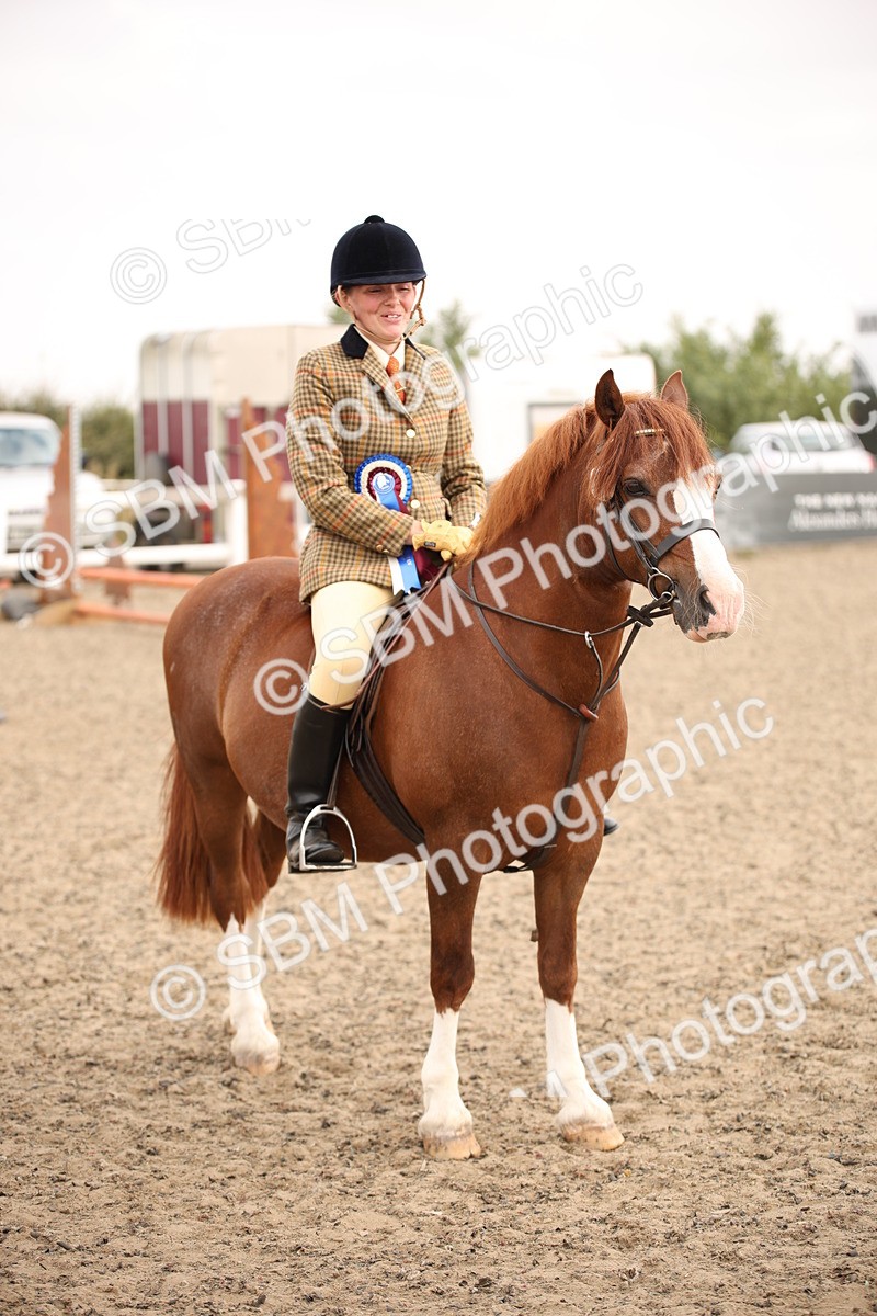 SBM_12287 - Class 405a - M&M Working Veteran 50cm (15-19)