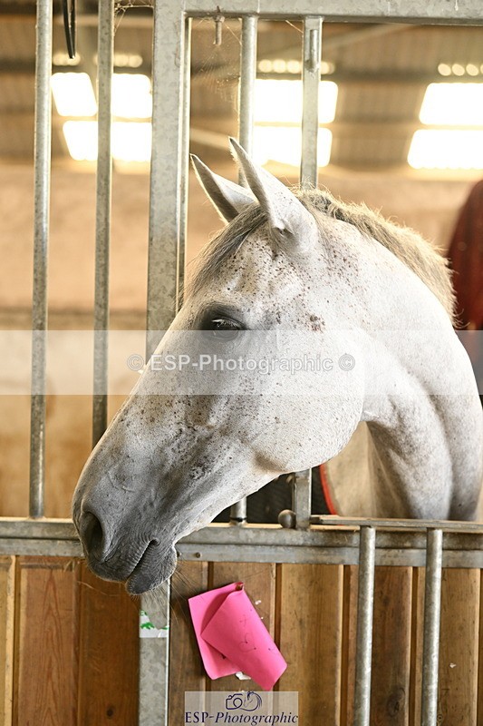 240809A-084549-00004 - Stable Shots