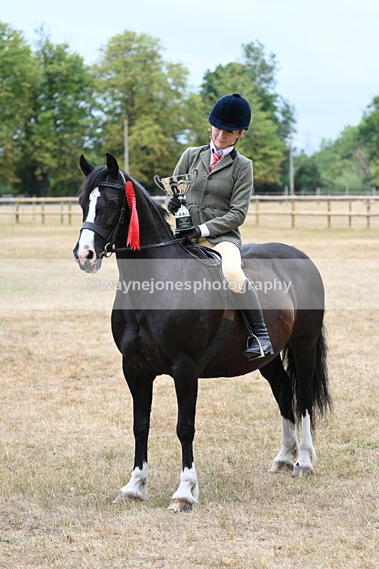 WJ7_1040 - Photo Shoots