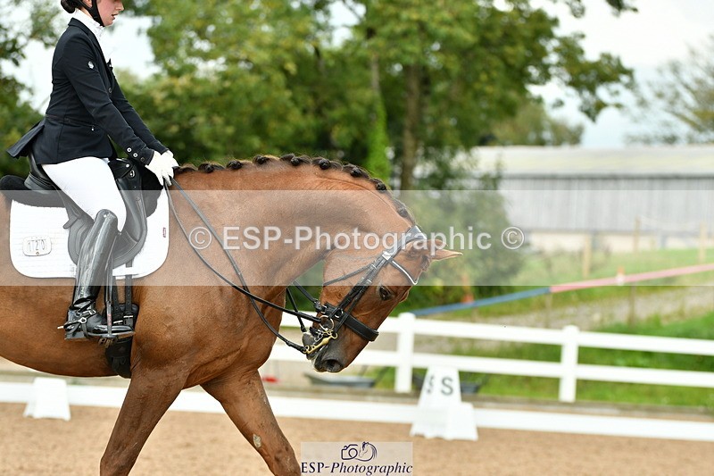 230912A-155956-01689 - Cls 14 Adv Medium 98