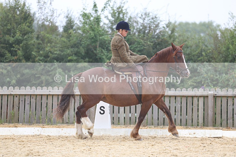 3E7A6856 - Class 5: Prelim to Music