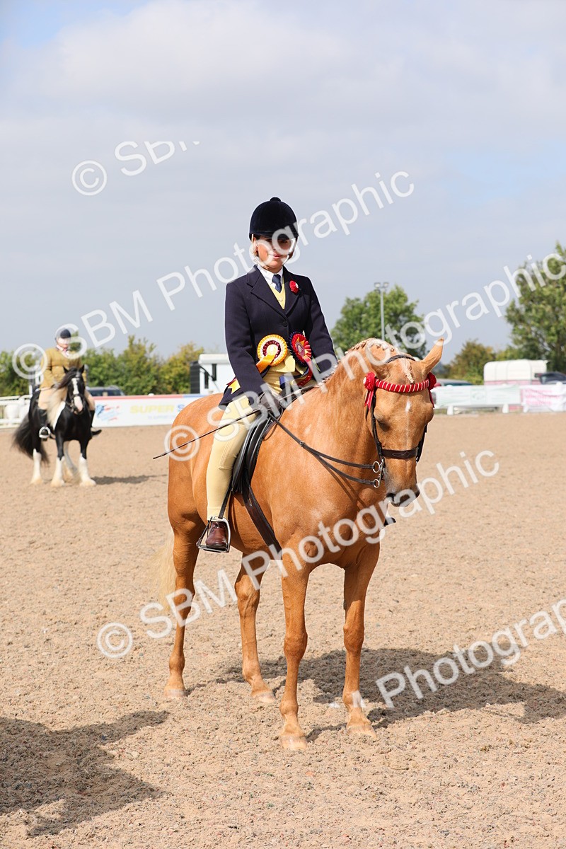 SBM_12856 - Class 307 Ridden Coloured Pony
