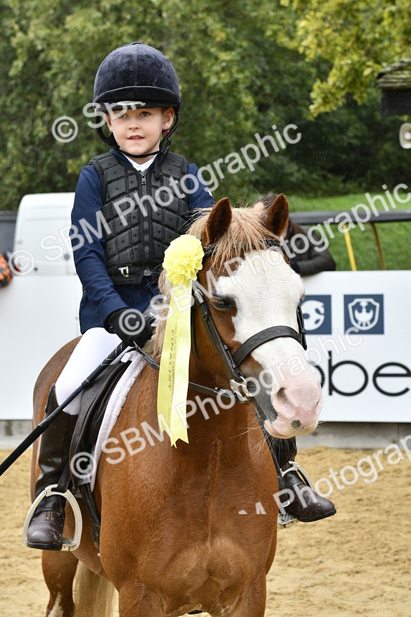 SBM_71007 - J3 - Mini Tour Junior Pony 40cm championship