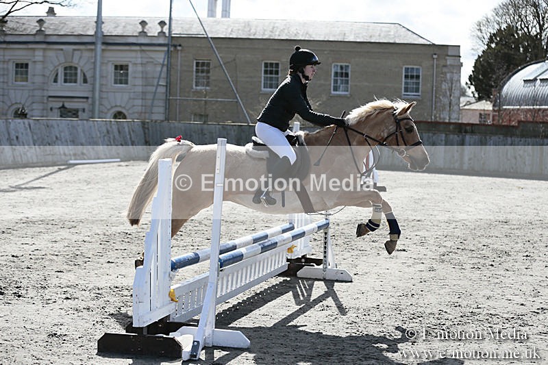 BVRC SJ 170319 265 - Bourne Valley Riding Club Showjumping 17/03/19