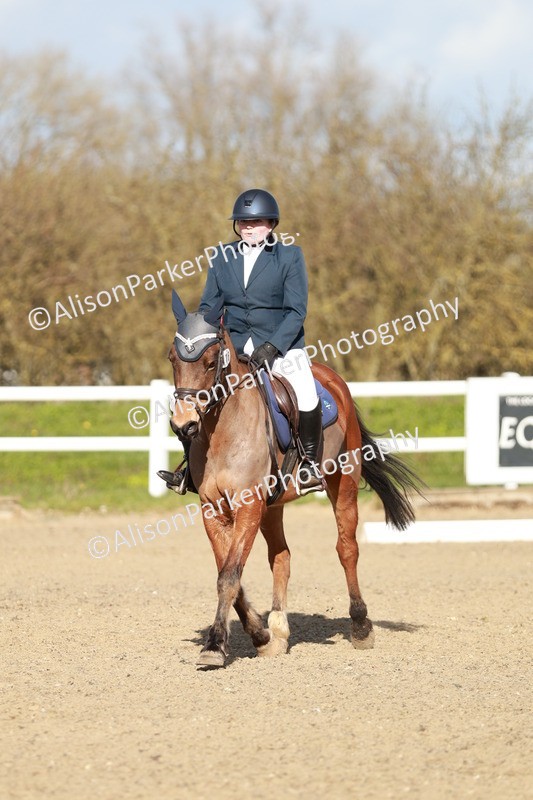 20260314-5332 - DR4 - Prelim 2