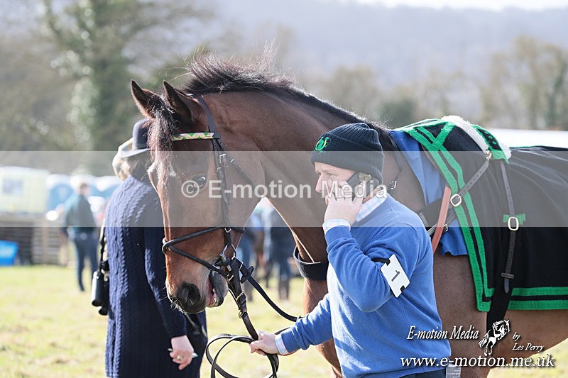 PtP 220225 6 - Kimblewick Point-to-Point  Kingston Blount 22/02/25