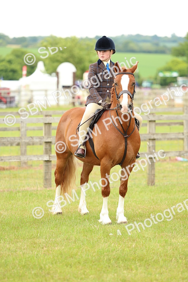 SBM_10381 - Class 44-45 - LIHS BSPS Open Nursery and Cradle Stakes