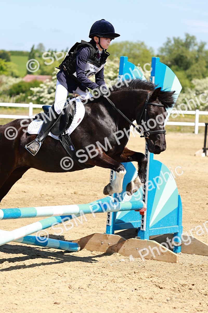 SBM_007482 - Class 3 - 60cm