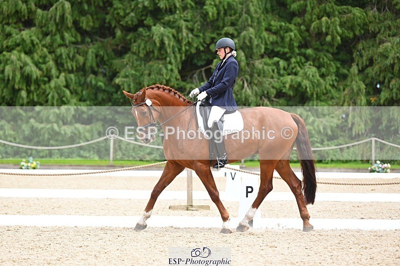 230813-135527-07649 - Cls 13 Medium Bronze 13.15 to End