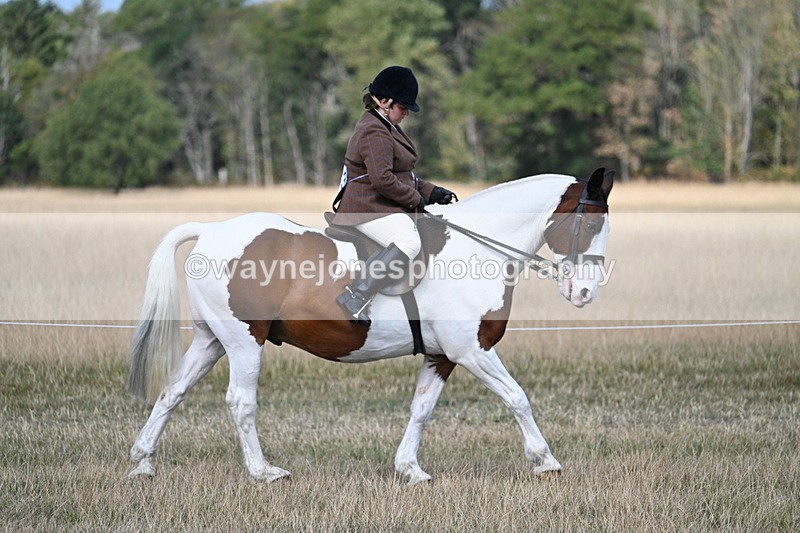 WJ7_6712 - Class 14 Ridden Coloured