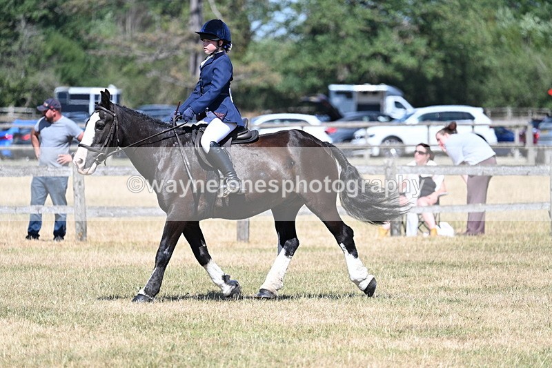 WJ7_3683 - Class 8 Ridden Veterans