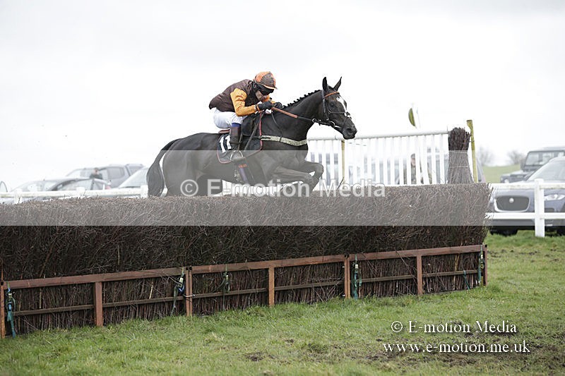 PtP 150320 0516 - New Forest Point-to-Point Larkhill 15/03/20