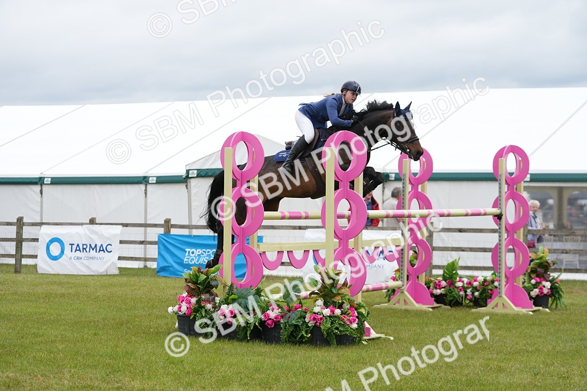 SBM_03048 - Class 201 - British Horse Feeds Speedi Beet Horse of the Year Show Grade  C