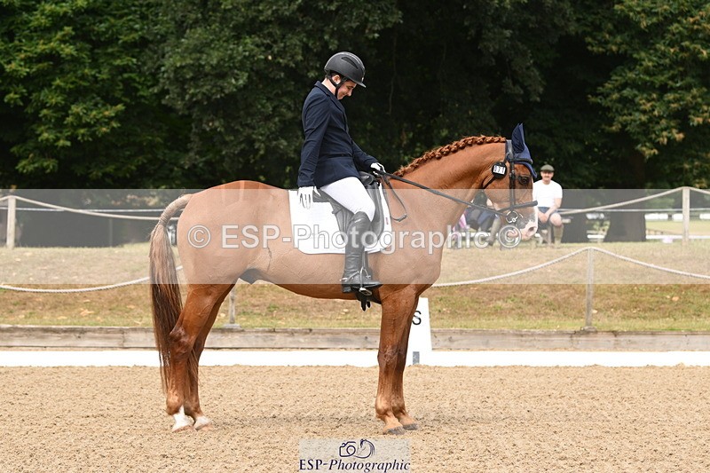 250720A-101644-09491 - 071-Jesse.Poyntz-Wright-Knockaderry.Jack