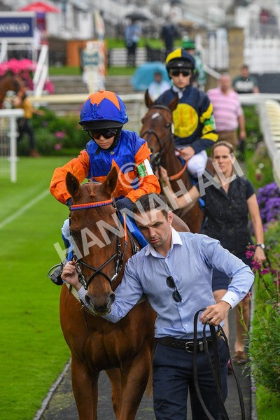 100923-Pony Race 1-0036 - Pony Race 1 12.25 The Dragon (TV and Film) Studios Pony Race 148cm & Under