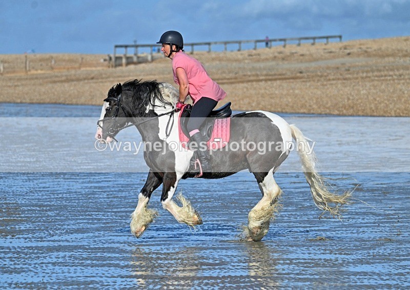WJ7_4068_1 - Kellie & Churchill ... do Hayling Island 25-08-24