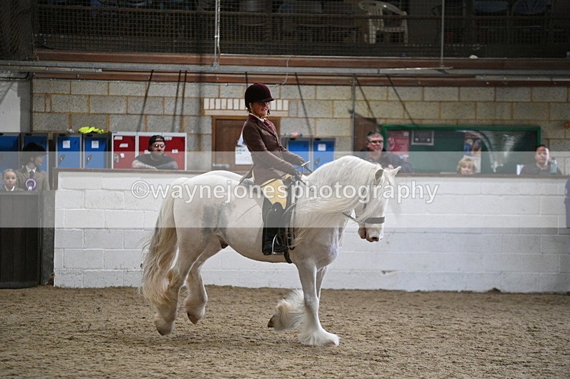 WJ7_4219 - Class 17 Ridden Cob