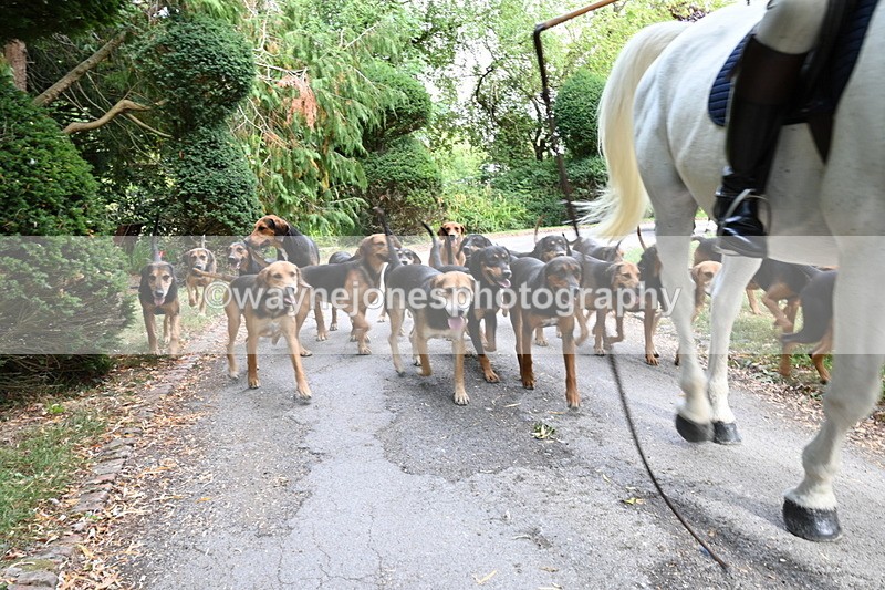 WJ6_3952 - Berks & Bucks - The Old farmhouse - Hound Exercise 20-08-25
