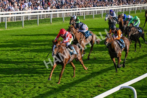 111025-Race 6-Berkshire Sundance-9034 - Race 6 Coral Racing Club Stayers Handicap at York