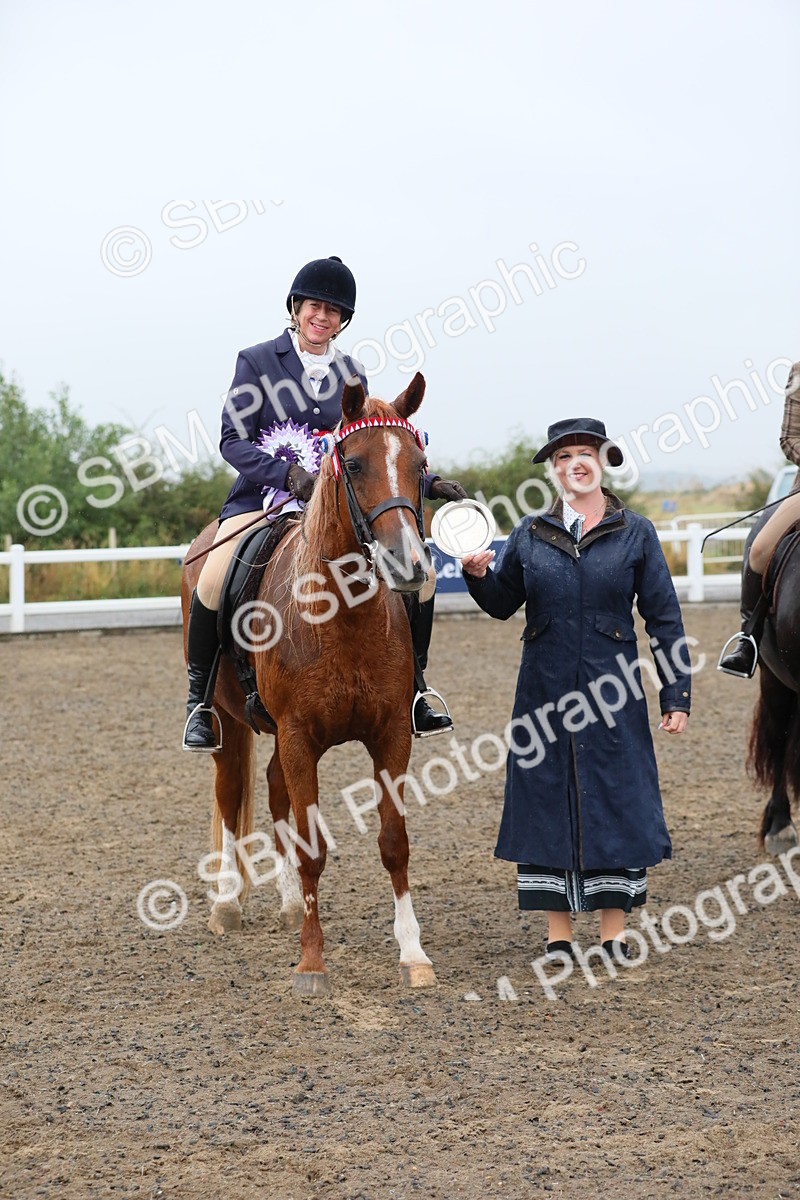 SBM_20371 - Class 803 - Ridden Combination 65+