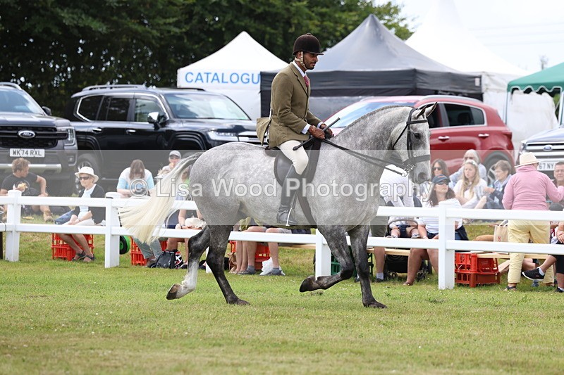 3E7A1891 - Class 10: Open Cob