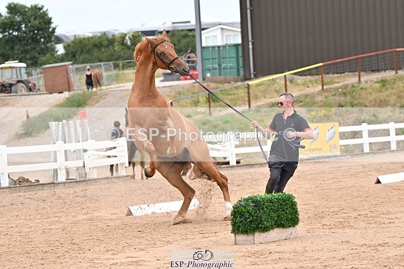 250716-160620-02409 - Trot Up 3.30 to 4.30