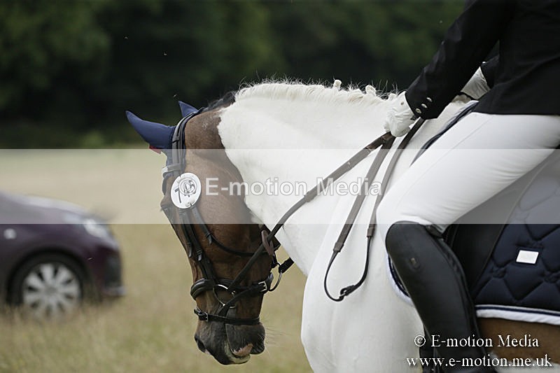B230619-0631 - Bourne Valley Riding Club Summer Show 23/06/19