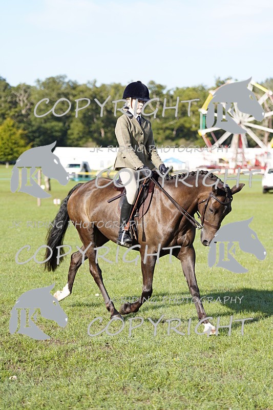 _DSC9432 - Class 8 & 17 Ridden Hunter & Ridden Hunter Pony