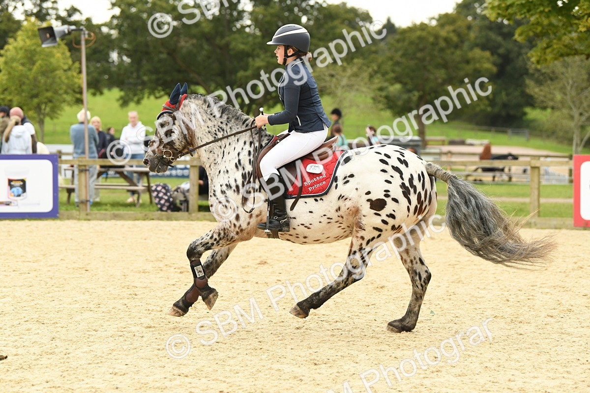 SBM_73098 - J16 - Junior Pony 75cm Championship
