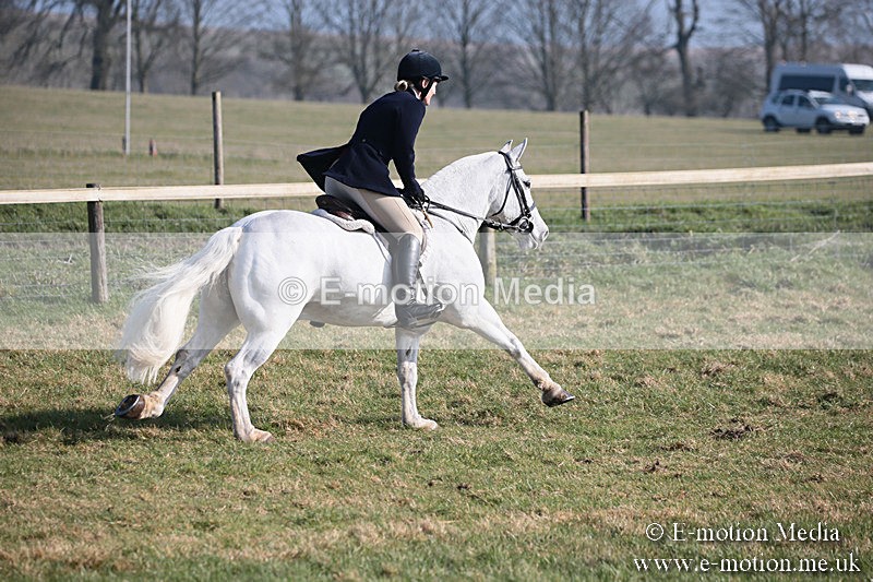 PtP 230219 276 - Vine & Craven Point-To-Point - Barbury 23/02/19