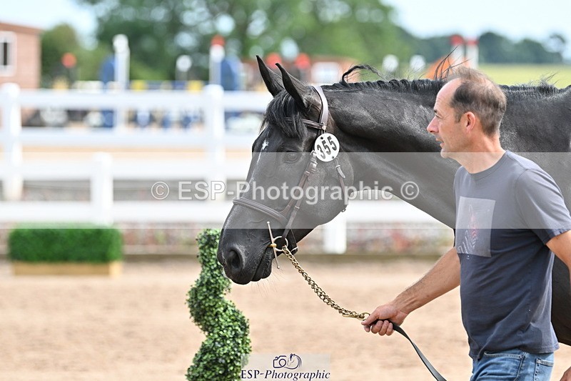 240717A-163646-03447 - Trot Up 4pm to 5pm