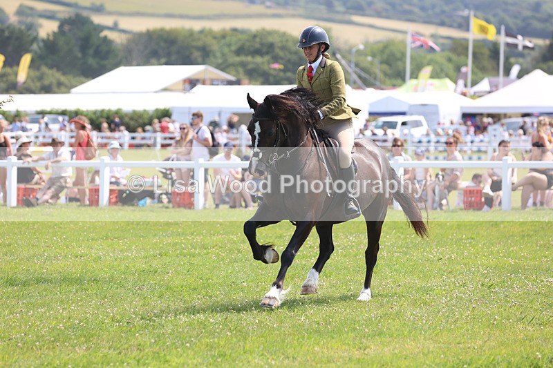 JPP_3547 - Class 23: Working Hunter 80cm
