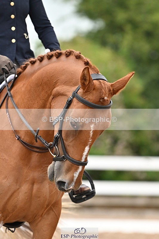 250705-175520-03952 - BRCP4 Sections BRCP4SNR, BRCP4JNR 13.50 to 14.53