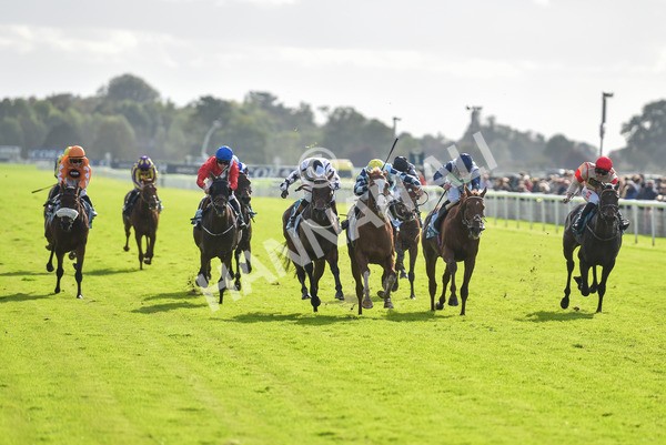 141023-Race 2-Whiskey Pete-0757 - Race 2 1.50pm Play Coral 'Racing-Super-Series' For Free Nursery Handicap