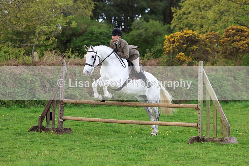 3E7A2557 - Classes 30 and 31: 80cm Working Hunter