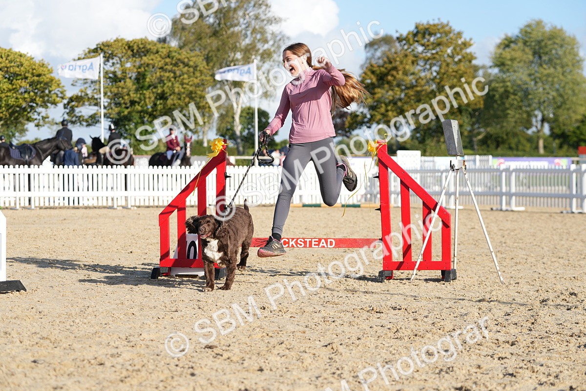 SBM_28955 - J43 - Horse & Hound Open 50cm