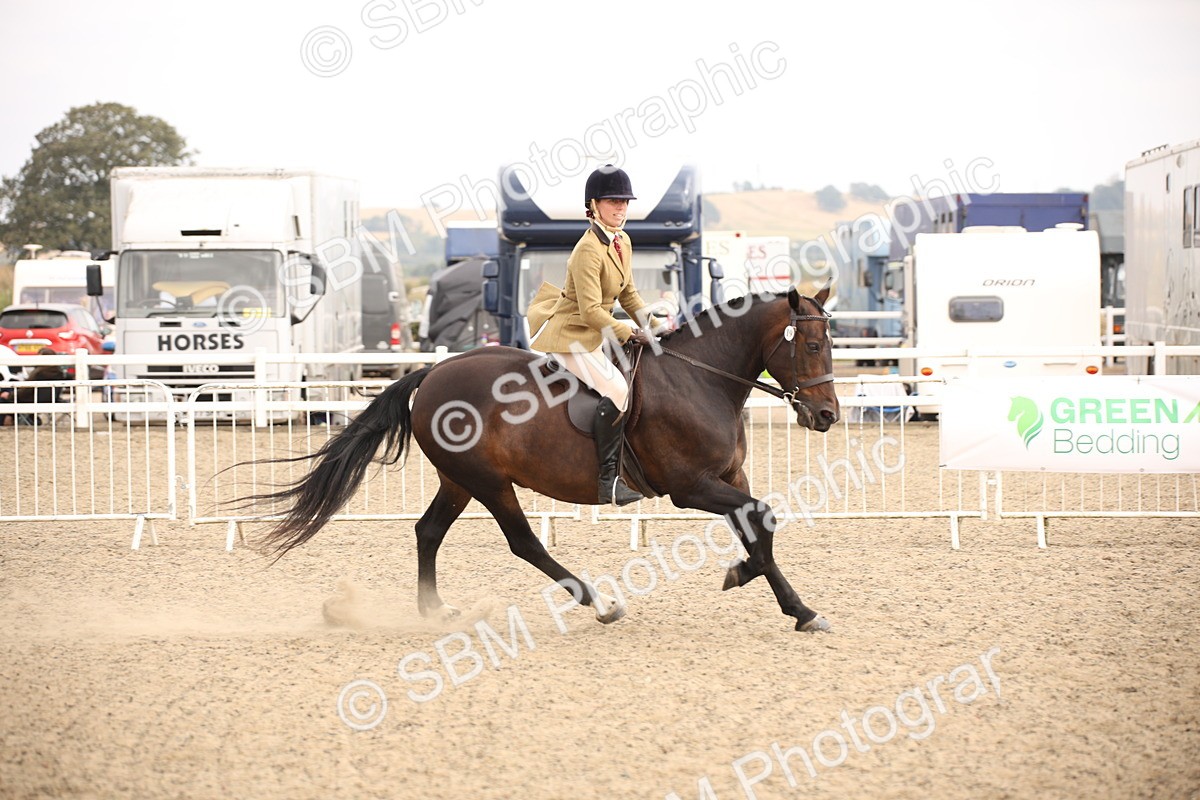 SBM_16224 - Class 409a - Working Veteran 80cm (15-19)