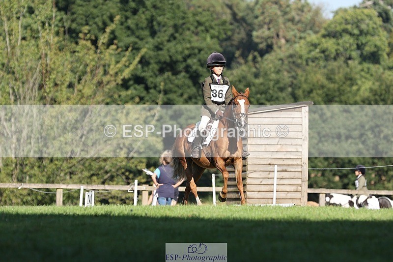 250823A-092053-25931 - Arena D