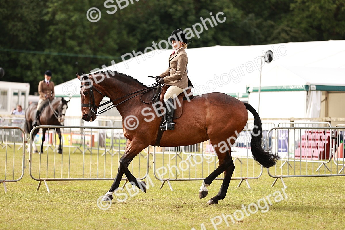 SBM_10860 - Class 81-84 - RIHS Ridden hunters Inc Ladies Hunter