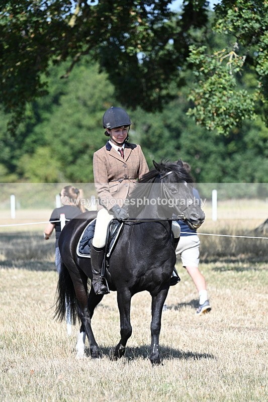 WJ7_3398 - Class 9 Mountain & Moorland Ridden