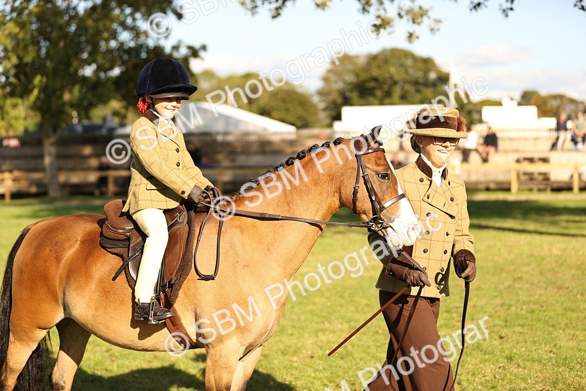 SBM_29376 - S7 - Novice & Newcomers Ridden Pony