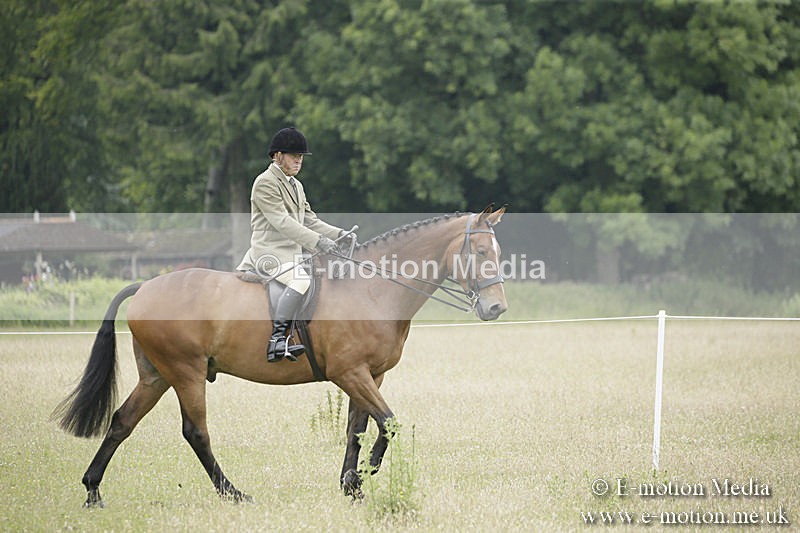 B230619-0920 - Bourne Valley Riding Club Summer Show 23/06/19