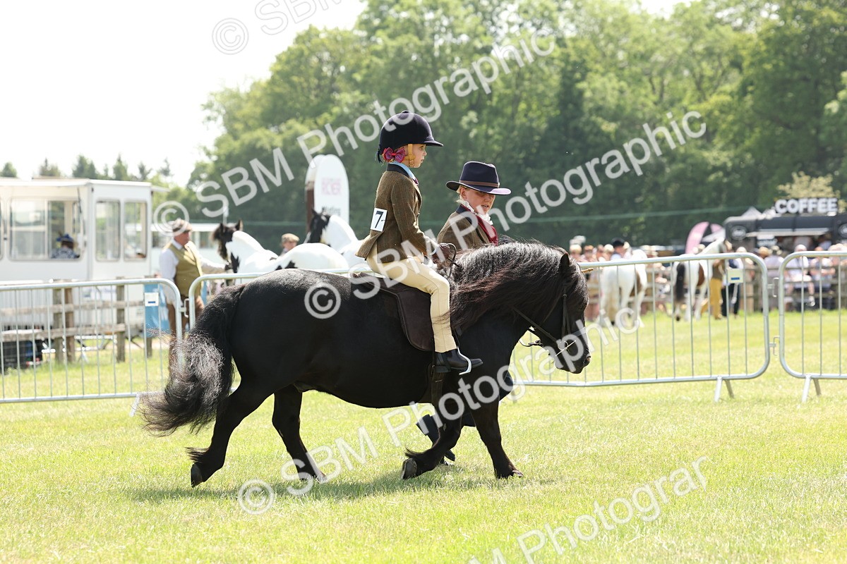 SBM_05195 - Class 24-25 - Mountain & Moorland In Hand Lead Rein and First Ridden
