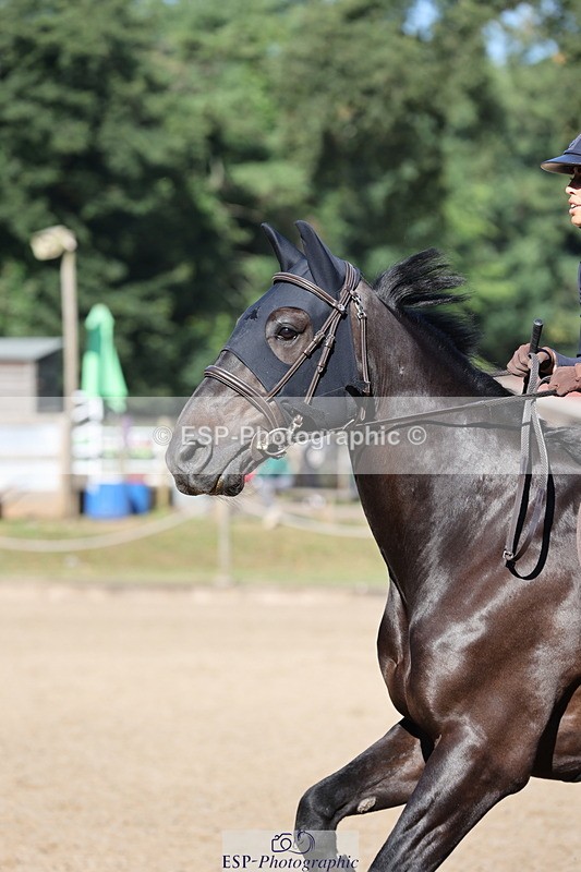 250703A-085307-00148 - Cls 5 85cm Amateur Qualifier