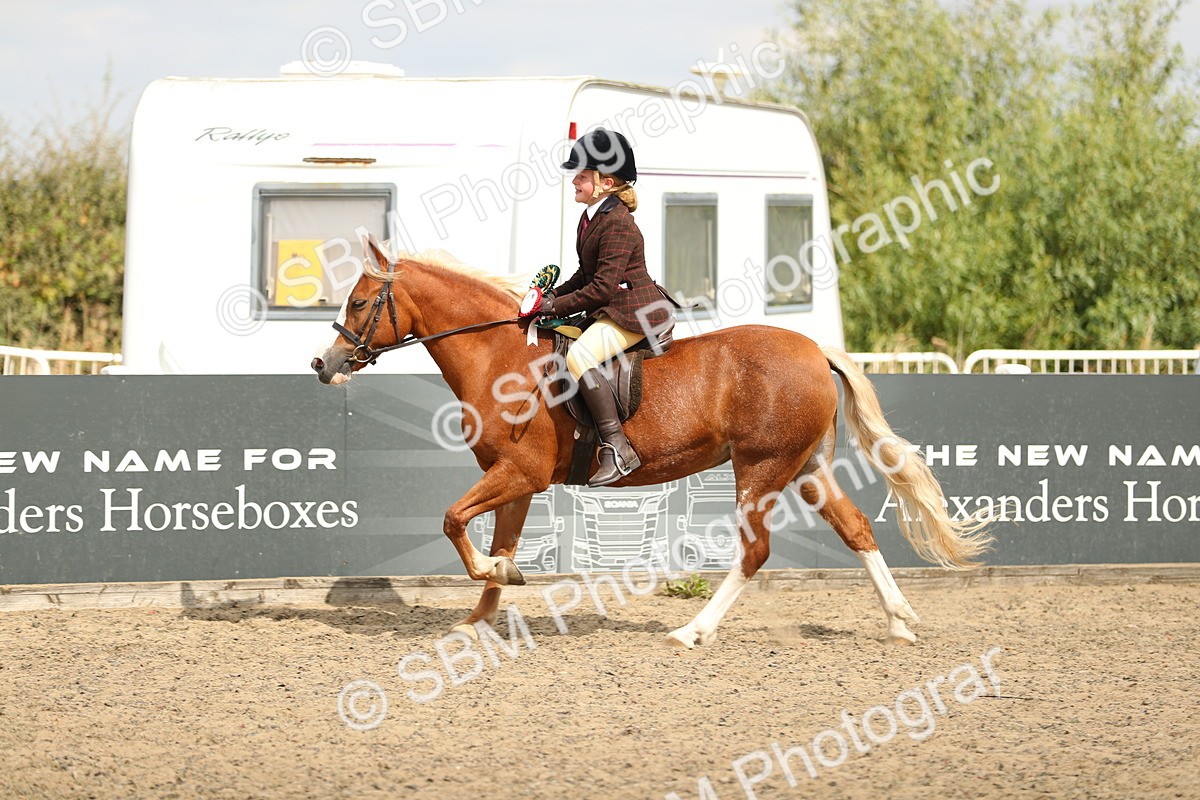 SBM_04814 - Class 46b Style & Performance 50cm (20+)