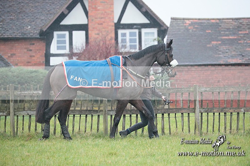PtP 031223 16 - Wheatland Hunt PtP Chaddesley Races 03/12/23