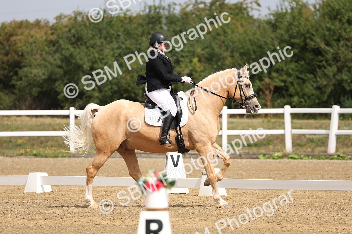 SBM_005830 - Class 6 - Novice 6 - 10.26-11.29