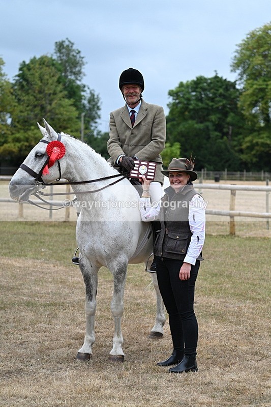 WJ7_1016 - Class 7 Riding Club Show Horse