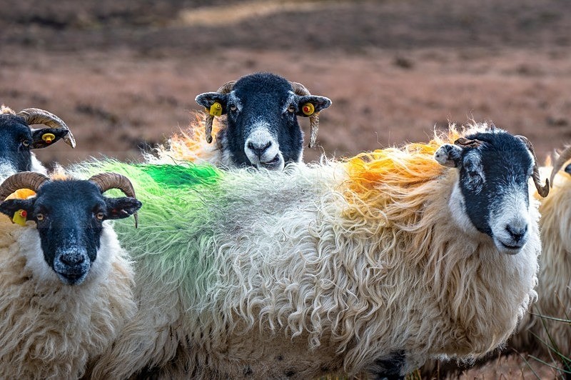 MF2_2212-2 - Glencolmcille & Malinbeg